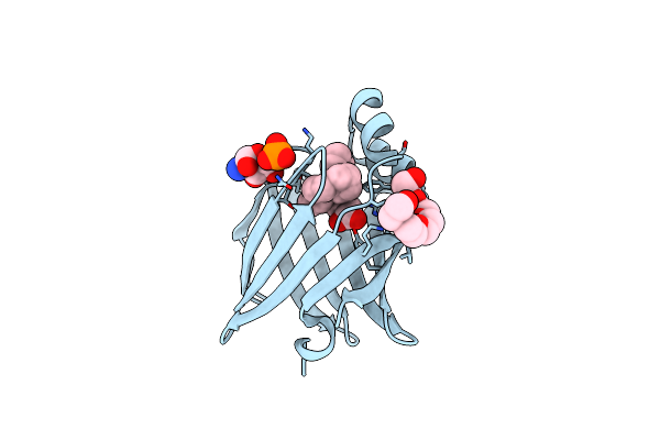 7XBC image