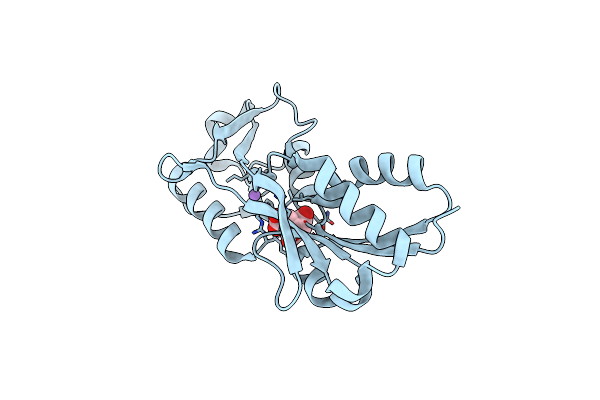 7XBE image