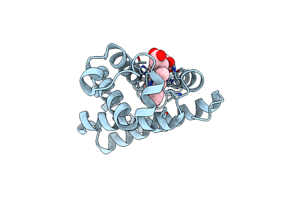 7XC9 image