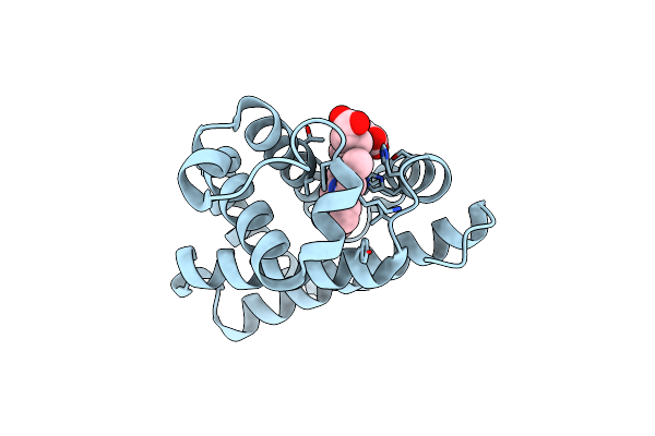 7XCQ image