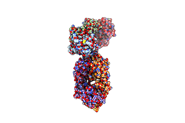 7XCZ image