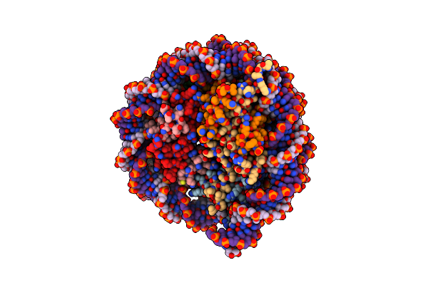 7XD1 image