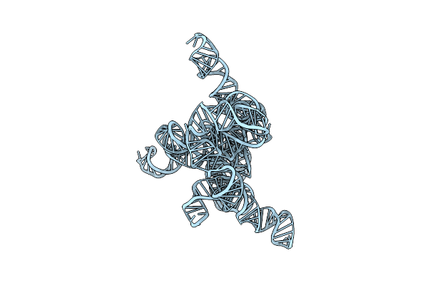 7XD3 image