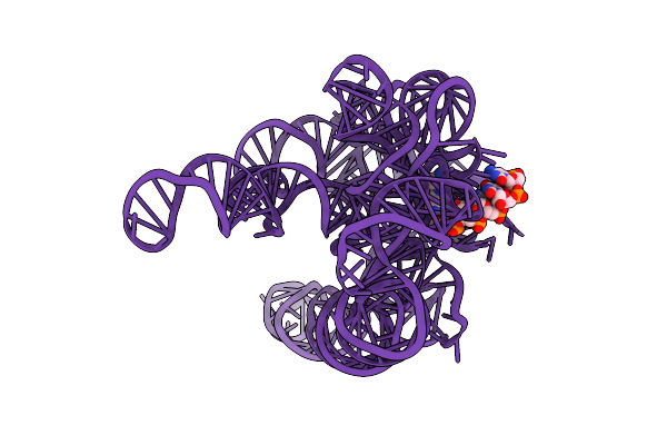 7XD5 image