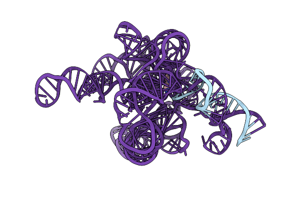 7XD6 image