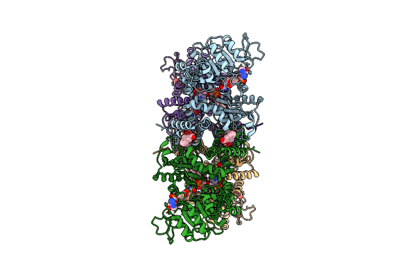 7XDF image