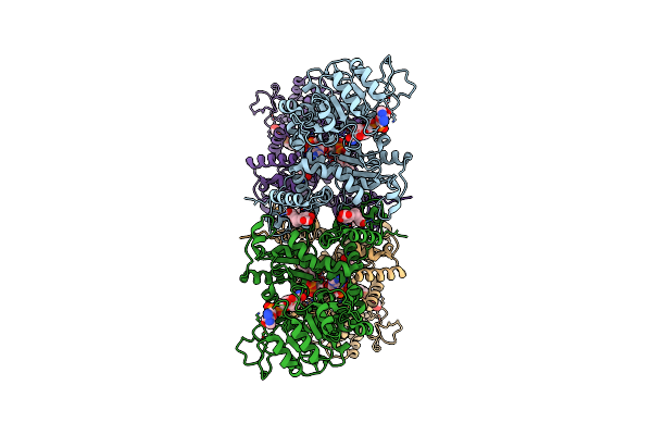 7XDG image