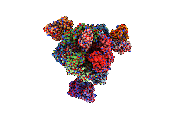 7XDL image