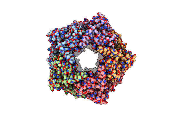 7XDT image
