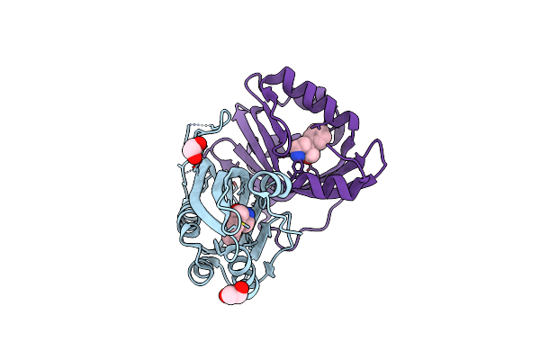 7XEE image