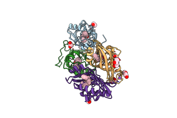 7XEF image
