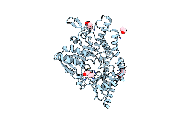 7XEL image