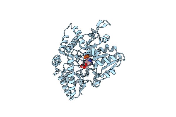 7XEN image