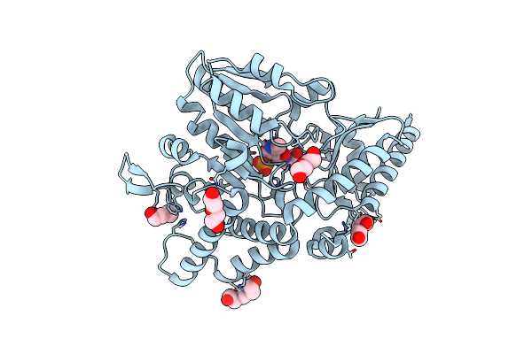 7XET image