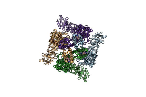7XEV image
