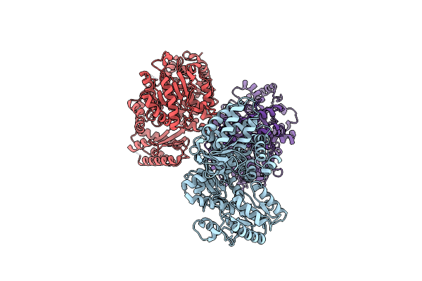 7XEX image