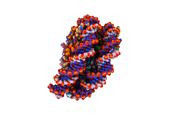7XFC image