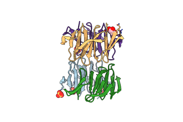 7XFP image