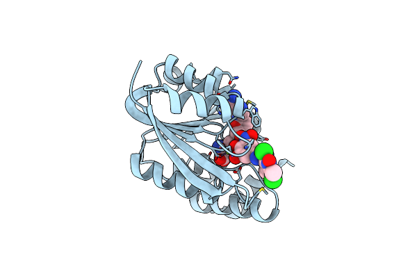 7XGI image