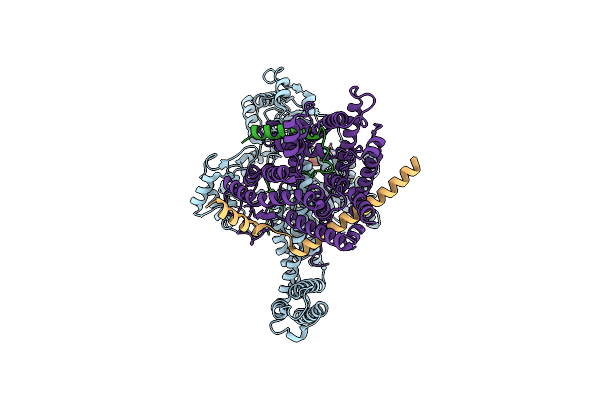 7XHB image