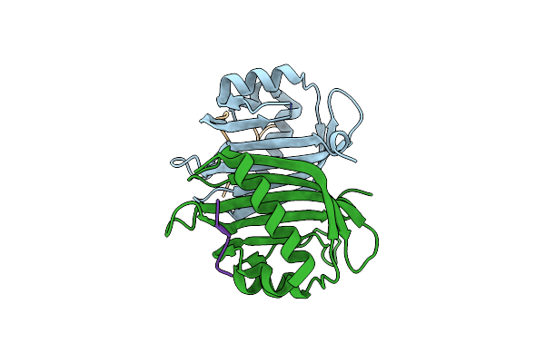 7XHF image
