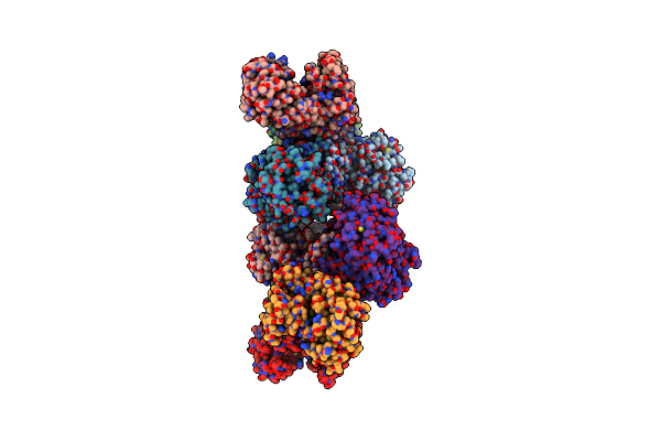 7XHL image