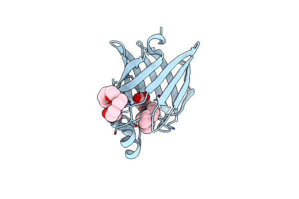 7XHM image