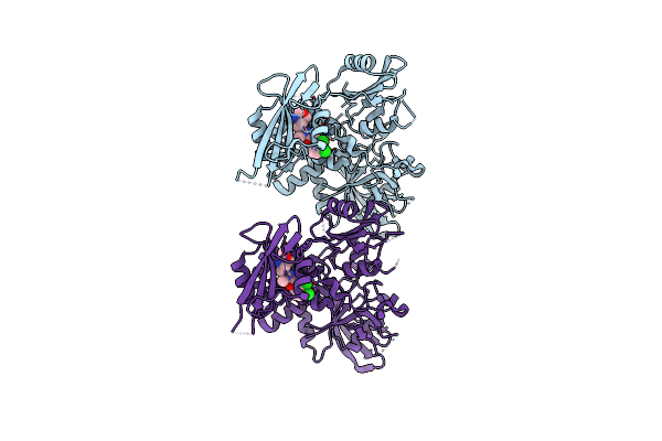 7XHQ image
