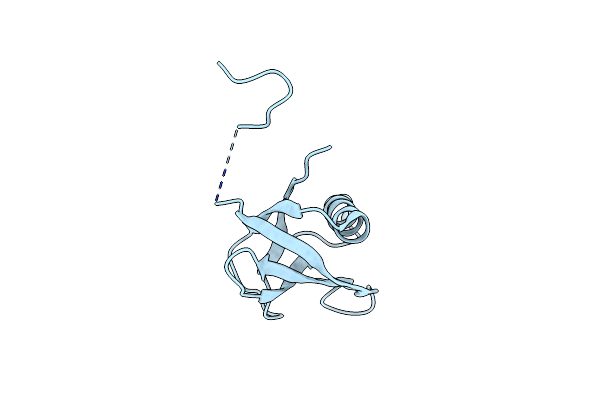 7XHS image