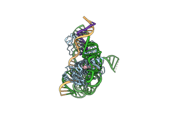 7XHT image