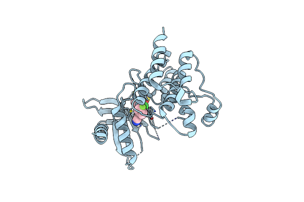 7XHY image