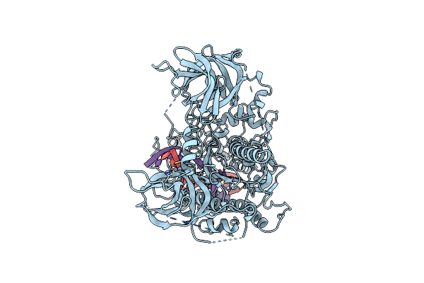 7XIB image