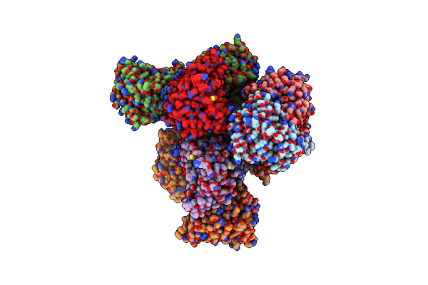 7XIF image