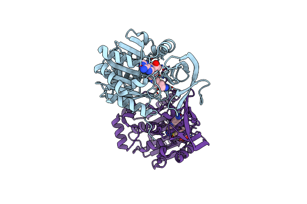 7XIH image