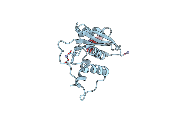 7XJ7 image