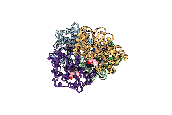 7XJM image