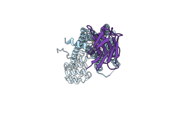 7XKA image
