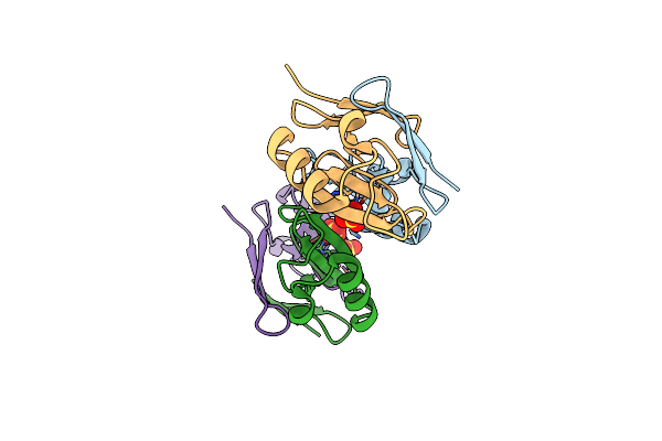 7XKC image