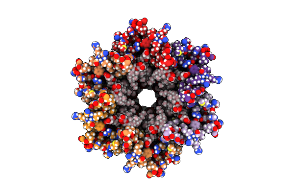 7XKT image