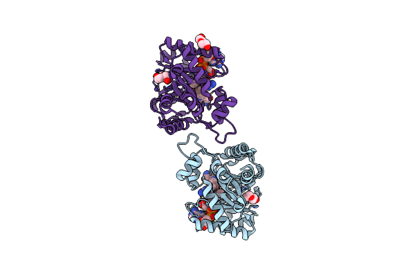 7XLF image