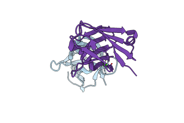 7XLI image