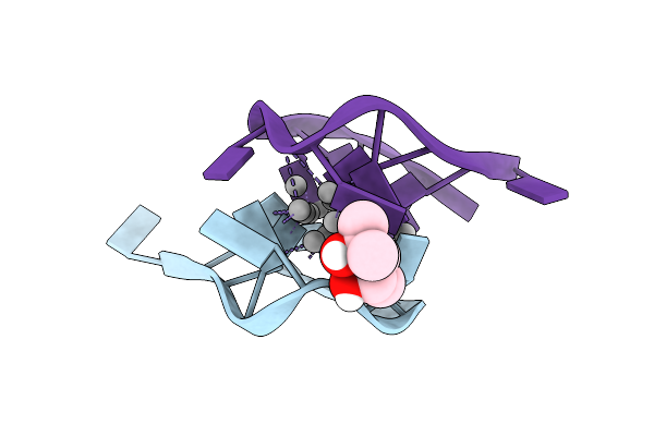 7XLV image