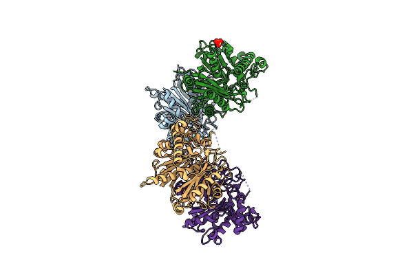 7XLY image