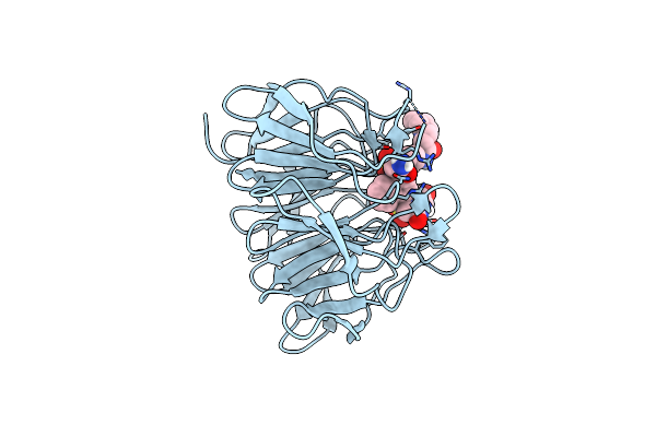 7XM5 image
