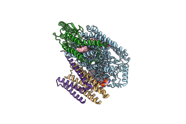7XMD image