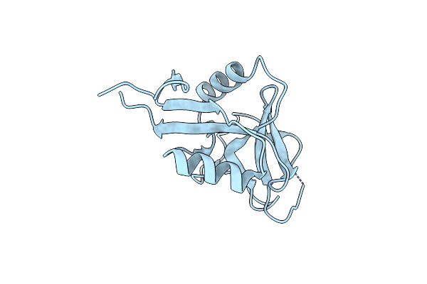 7XMP image