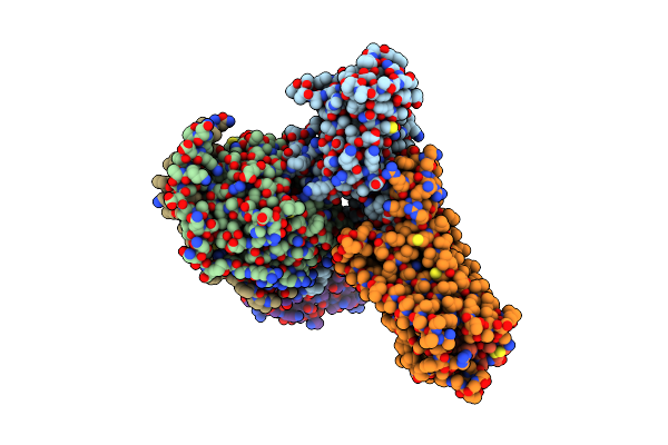 7XMS image