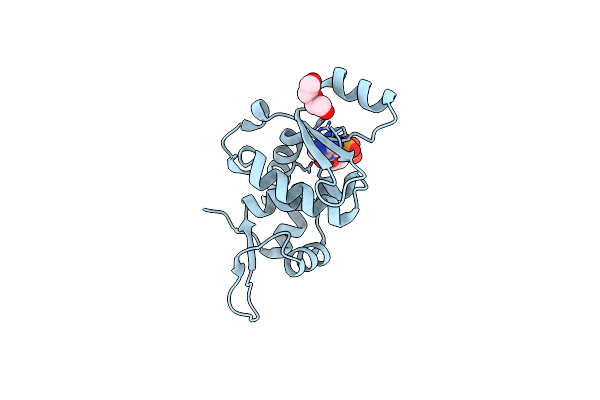 7XN2 image