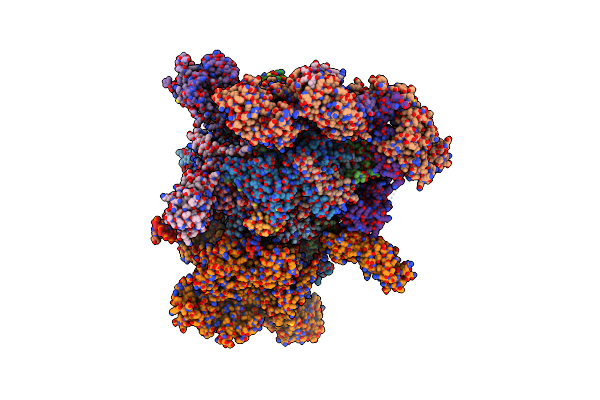 7XN7 image