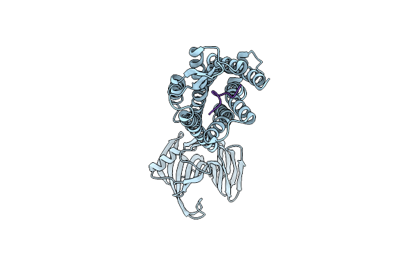 7XNA image